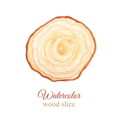 Watercolor wooden slice