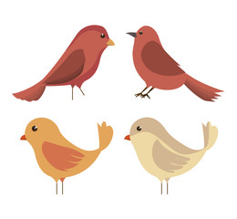 cute ornamental bird icon vector illustration design