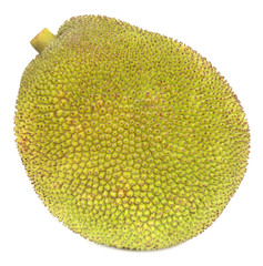 Jackfruit