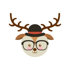 cute animal with hat and glasses hipster style