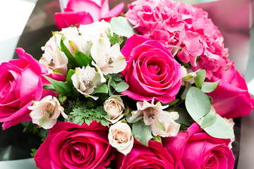 Bright pink roses