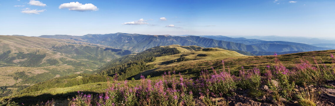 Stara Planina Mountain In Serbia