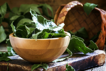 Bay leaf, selective focus