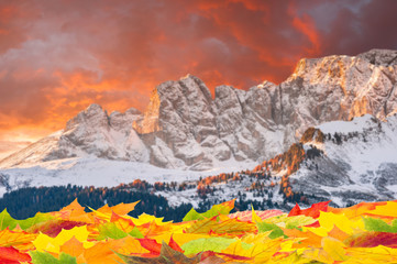 Fall Background with Foliage