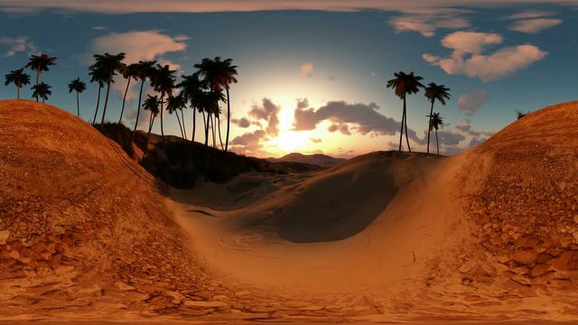 panoramic of palms in desert at sunset. made with the one 360 degree lense camera without any seams. ready for virtual reality