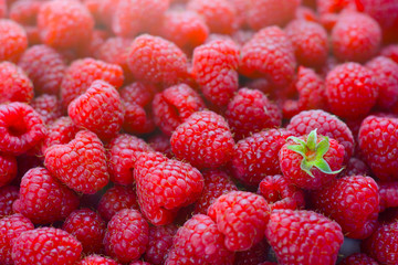 Raspberry fruit background