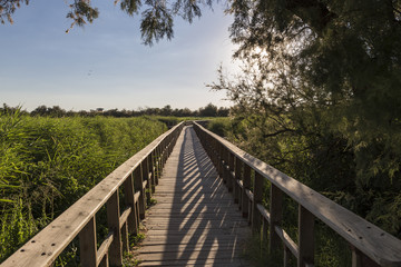 landscape in Tables Daimiel, Ciudad Real, Spain