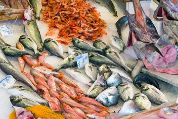 Fototapeta premium Fresh fish and seafood at the Vucciria market in Palermo, Sicily