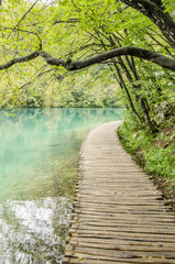 wooden path and lakes at Plitvicka lakes park, landscape of plitvicka lake national park, unesco heritage site, croatia.