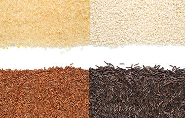 grains of rice