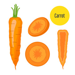 Sliced, chopped sweet carrot in flat vector style.
