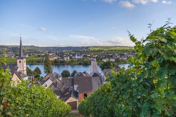 view on Moselle and vineyards  in Germany Piesport