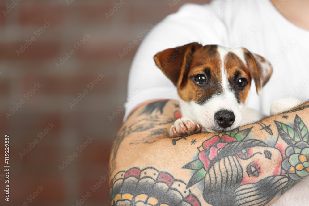 Wall mural man holding cute dog on brick wall background