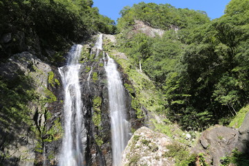 Obraz na płótnie Canvas 奈良県の千尋の滝