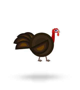 Flat farm animal turkey on white background, flat symbol of Thanksgiving Day