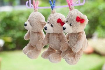 Little teddy bear on clothes line natural background