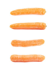Single baby carrot isolated