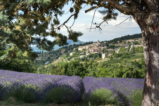 Aurel little village in south of France