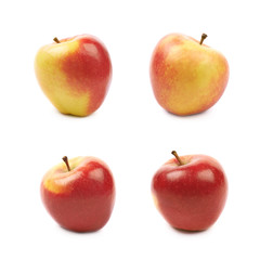 Ripe red and golden jonagold apple