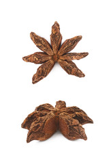 Chinese star anise seed isolated