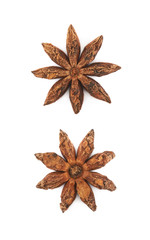 Chinese star anise seed isolated