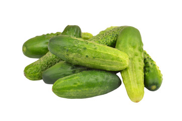 Green cucumber gherkin