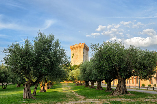 Castiglione del Lago (Umbria) Fortezza