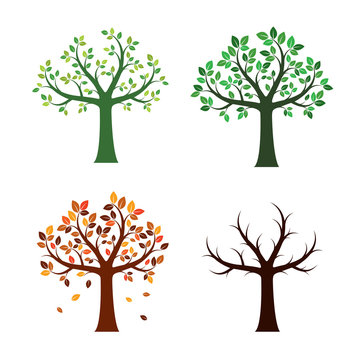 Set Trees and For Seasons. Vector Illustration.