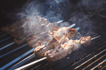 lots of fresh kebabs on the grill with smoke