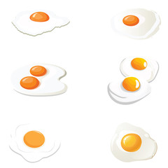 fried egg set vector