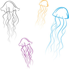 Sea Life jellyfish vector