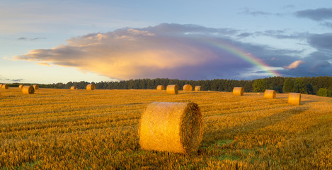 beauty storm cloud highlighted by the setting sun and a rainbow over a field after harvest
