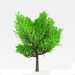 Fototapeta na wymiar tree 3D render
