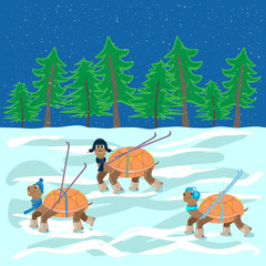 turtles with hats, boots, skis are on the snow forest