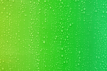 Water drop on green color gradient background.