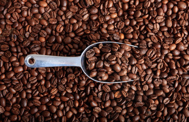 Coffee beans background and a scoop