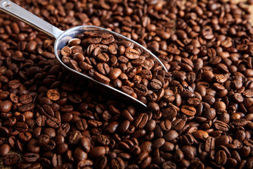 Coffee beans background and a scoop