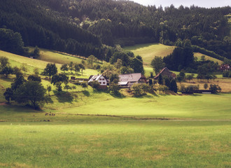 Scenic countryside landscape: green summer mountain valley with forests, fields and old houses in Germany, Black Forest