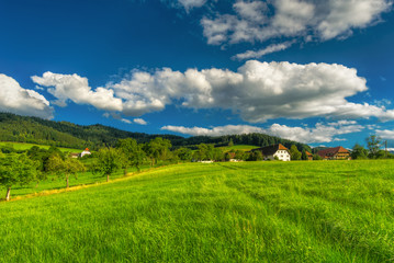 Scenic countryside landscape: green summer mountain valley with forests, fields and old houses in Germany, Black Forest