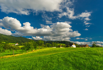 Scenic countryside landscape: green summer mountain valley with forests, fields and old houses in Germany, Black Forest
