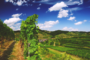Beautiful mountain landscape with vineyards and old picturesque village in Germany.Travel and wine-making background.