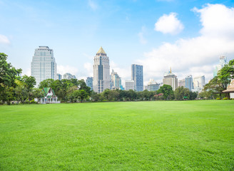 Fototapeta premium Green grass field in big city park