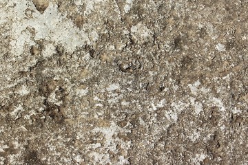 Old concrete grunge textured wall