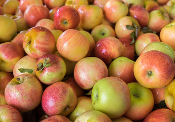 Fototapeta na wymiar Green red new apples for sale at city market