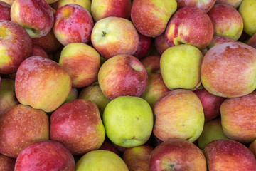 Green red new apples  for sale at city market