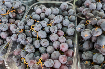 Red grapes for sale at city farmers market