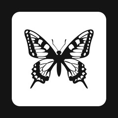 Butterfly with beautiful pattern on wings icon in simple style isolated on white background. Fly symbol