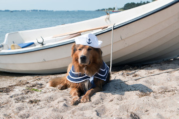 Hund an der Ostsee liegt vor einem Boot als Matrose verkleidet