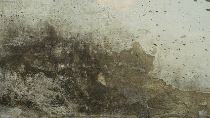 Old brick wall with plaster and decal