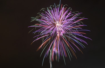 夜空の花火